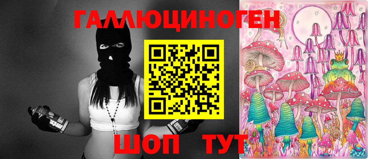 Михайловка  Галлюциногенные грибы Psilocybine cubensis  Вход с VPN 