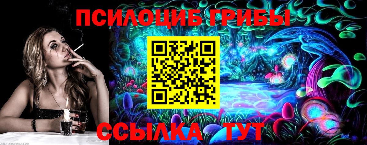 Псилоцибиновые грибы мицелий Михайловка
